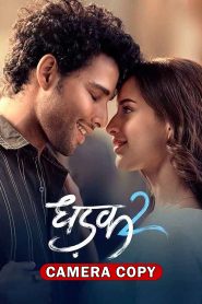 Dhadak 2 (2025) Sinhala Subtitles | සිංහල උපසිරැසි සමඟ
