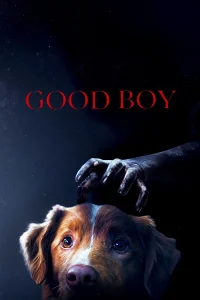 Good Boy (2025) Sinhala Subtitles  | සිංහල උපසිරැසි සමඟ