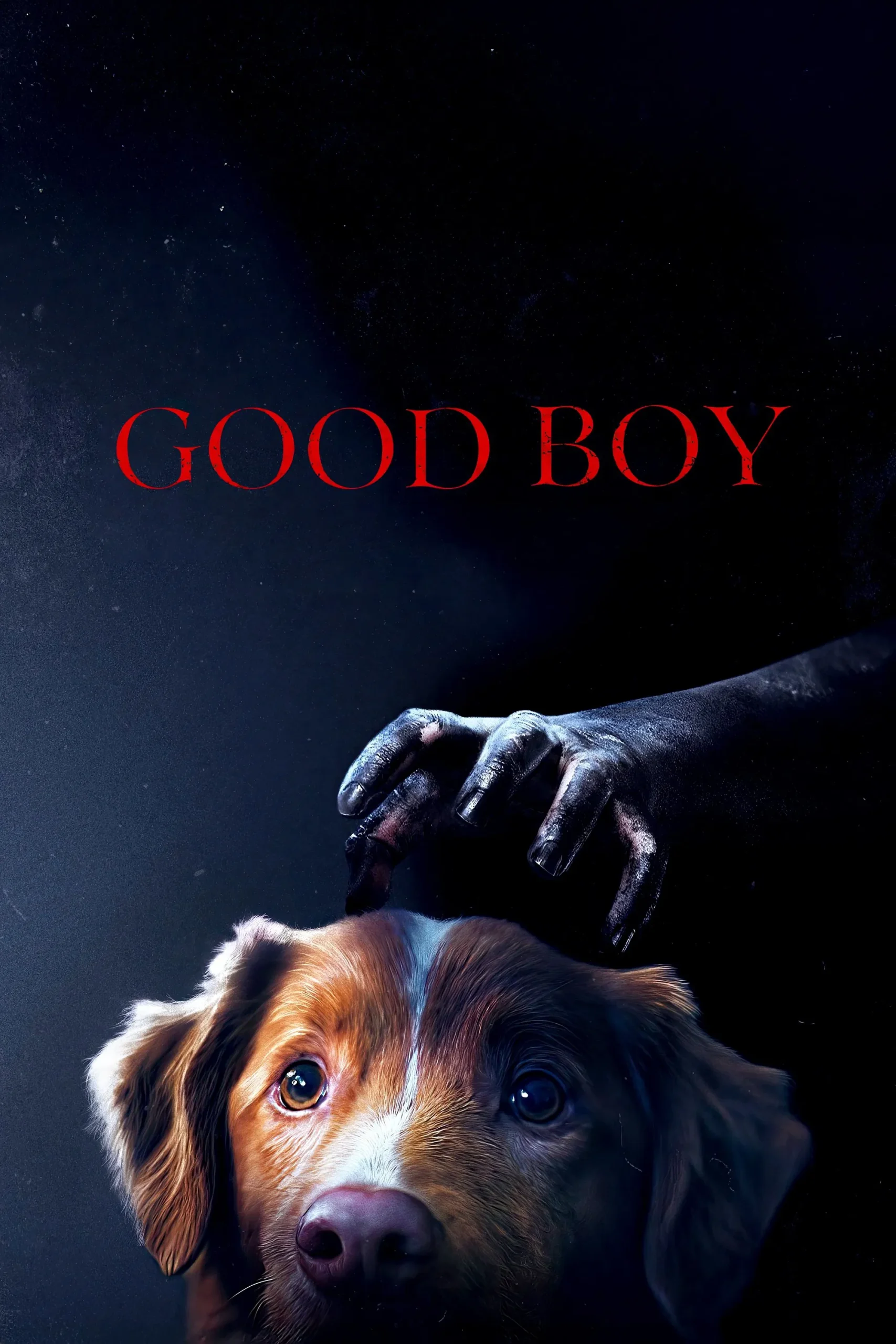 Good Boy (2025) Sinhala Subtitles | සිංහල උපසිරැසි සමඟ
