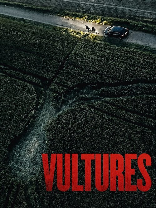 Vultures (2025) Sinhala Subtitles | සිංහල උපසිරැසි සමඟ